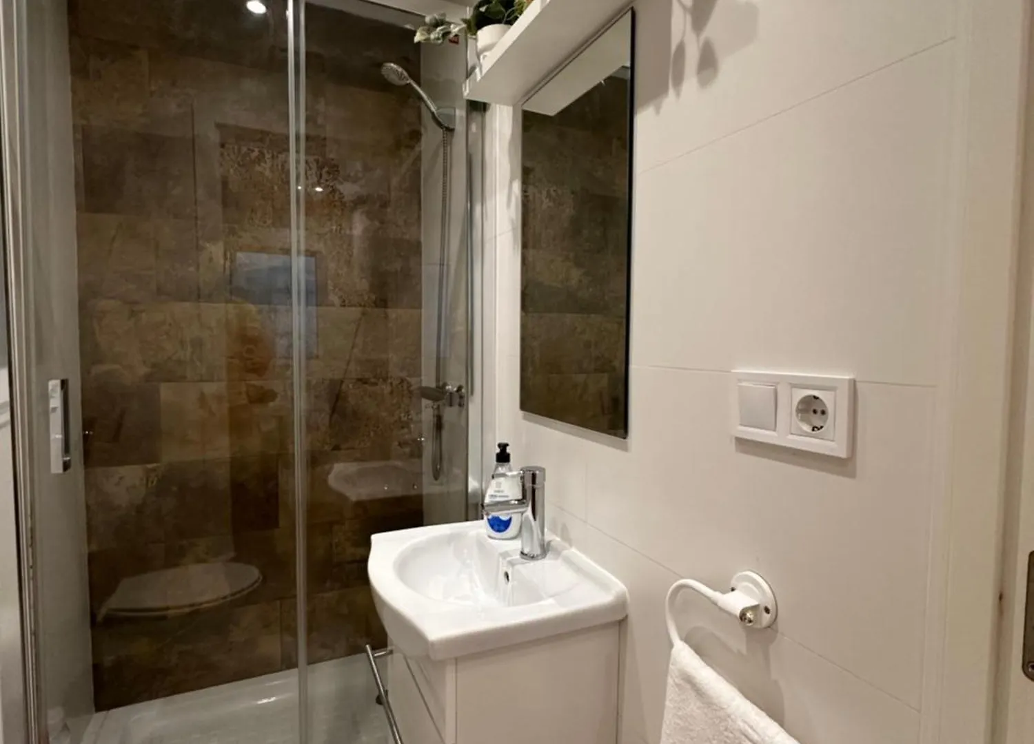Claveles De Luxe Apartment Malaga 0*,